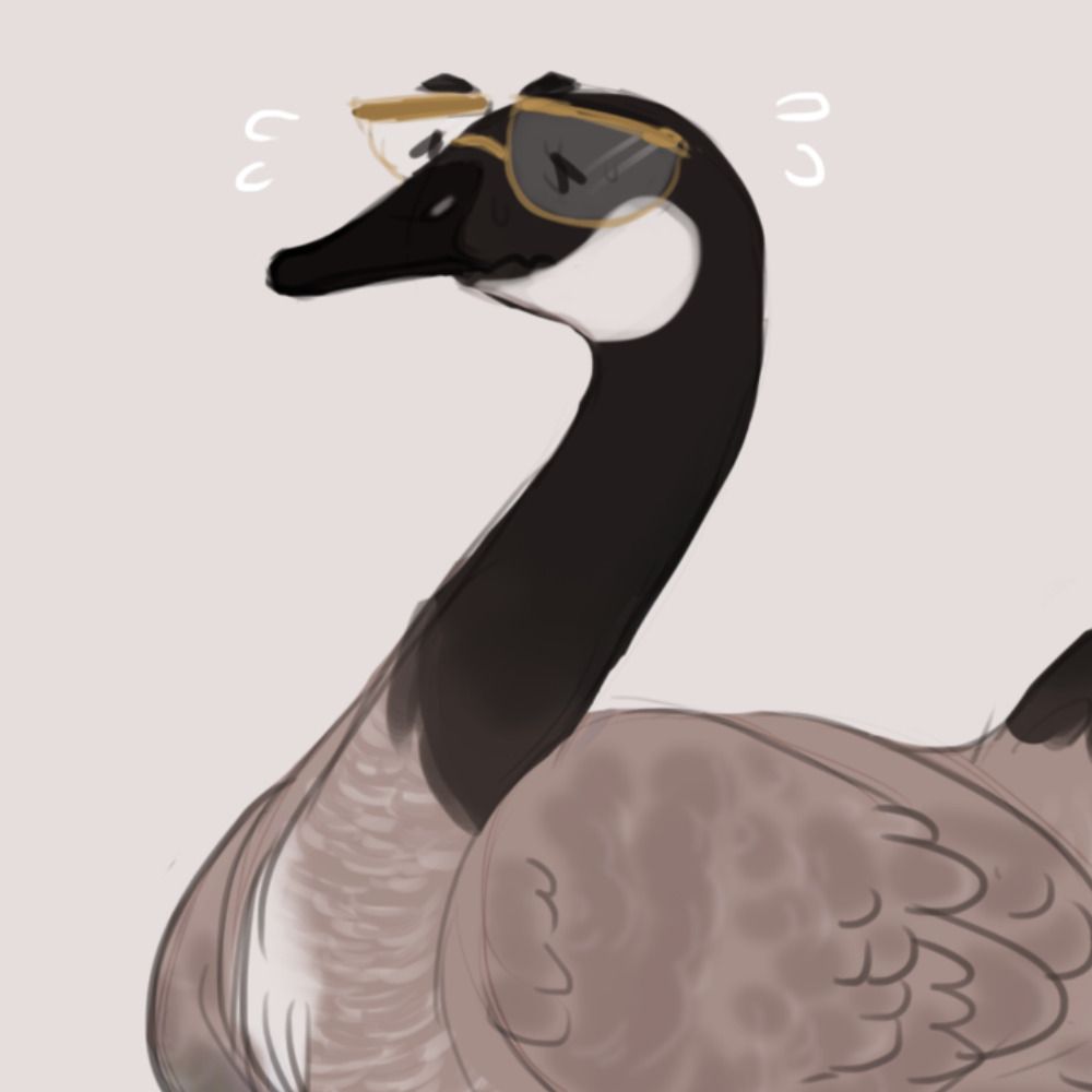Iznbranahl Goose