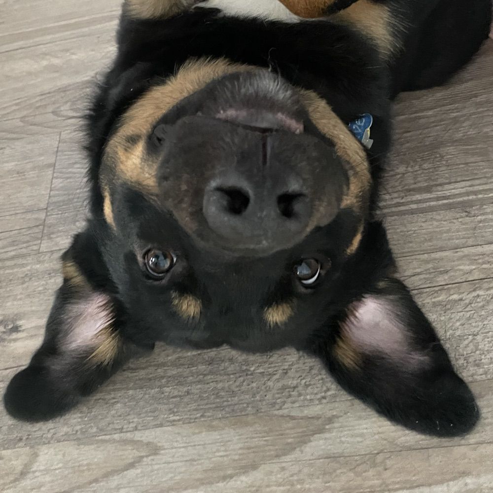 Maggie