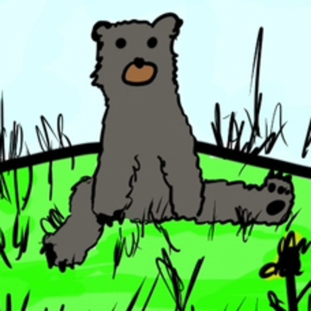 A bear