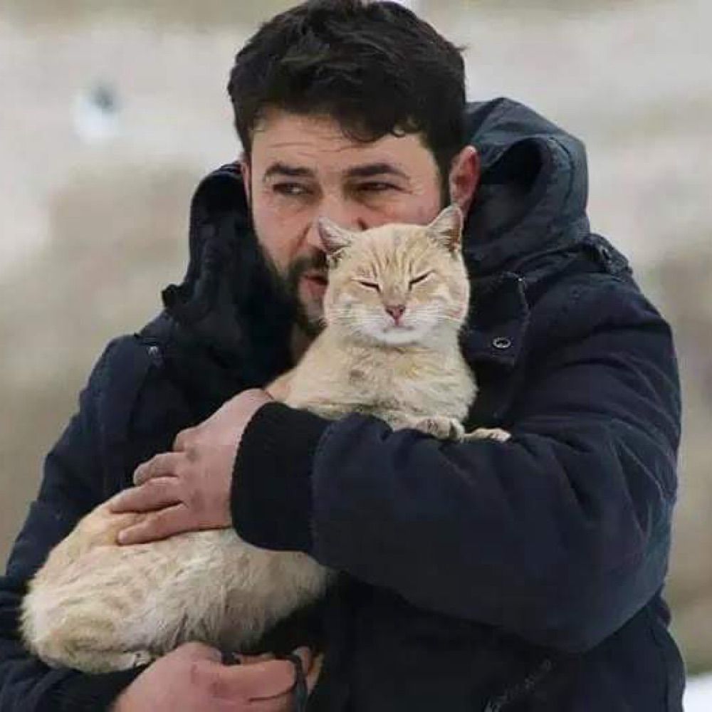 The Authentic Cat Man From Aleppo