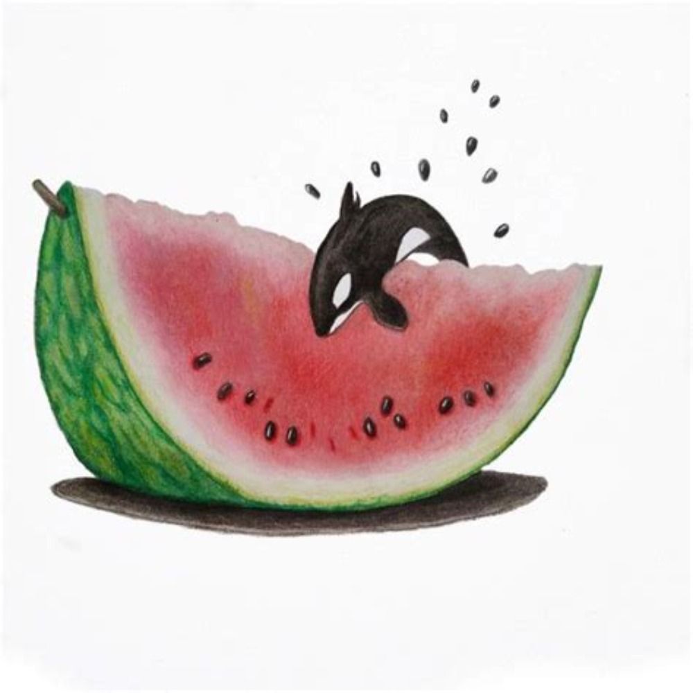 pro-Black orca
