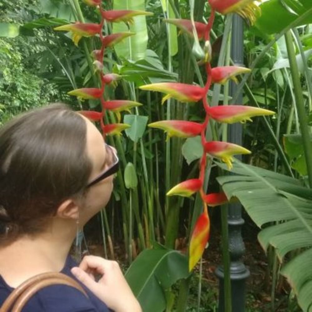 Silvia Caldararu🌿