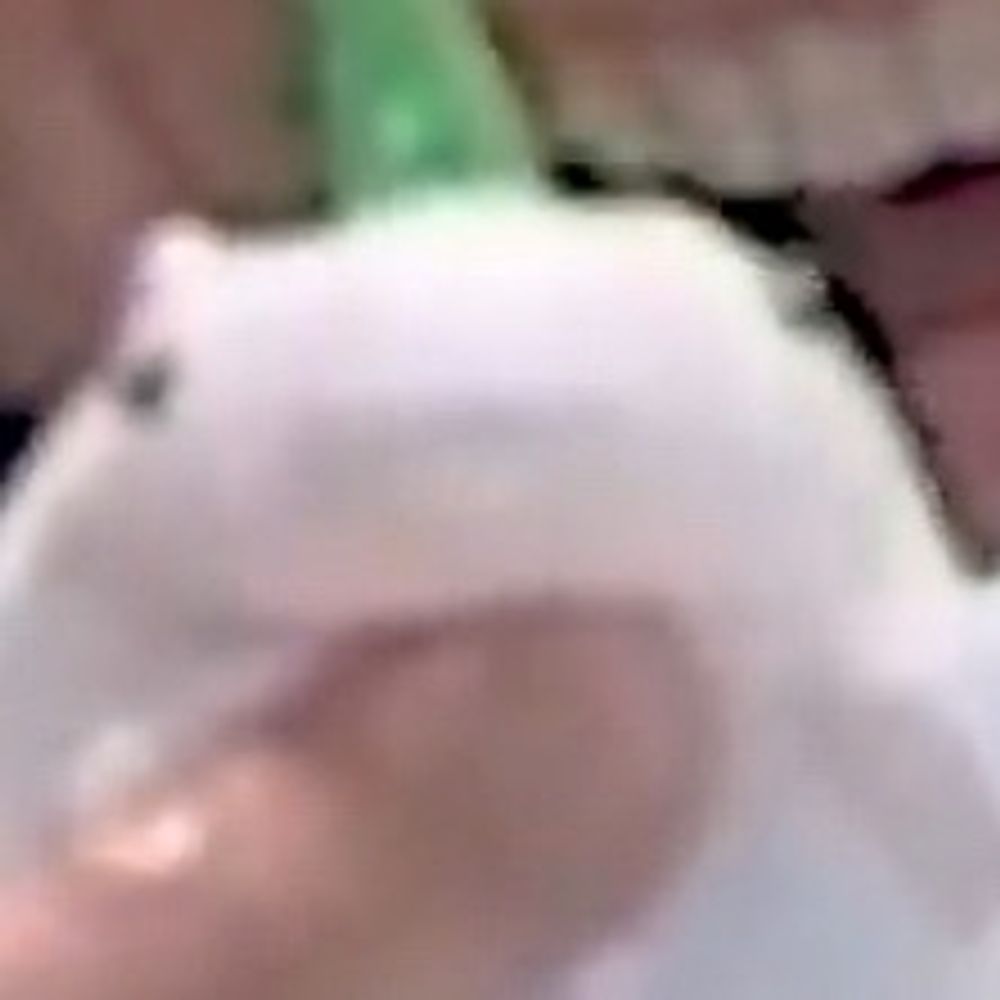 Skyler/Squish