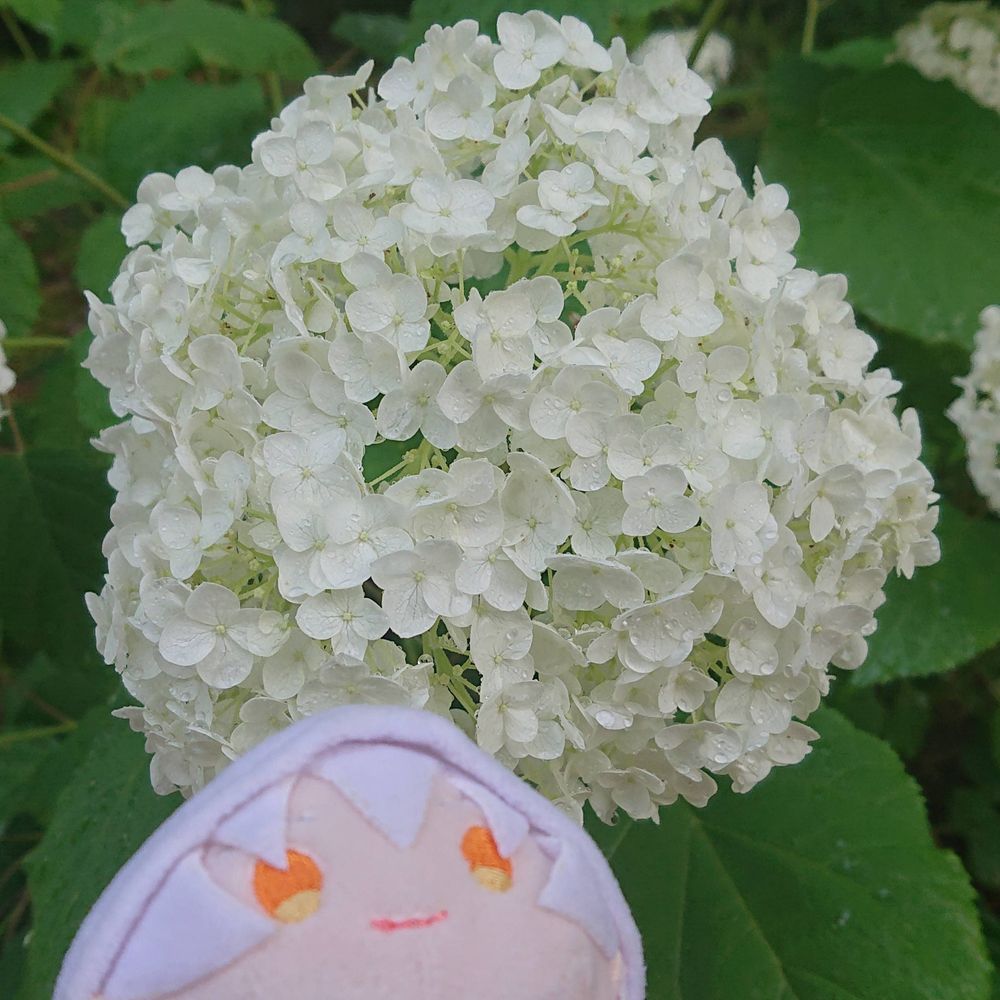 結音