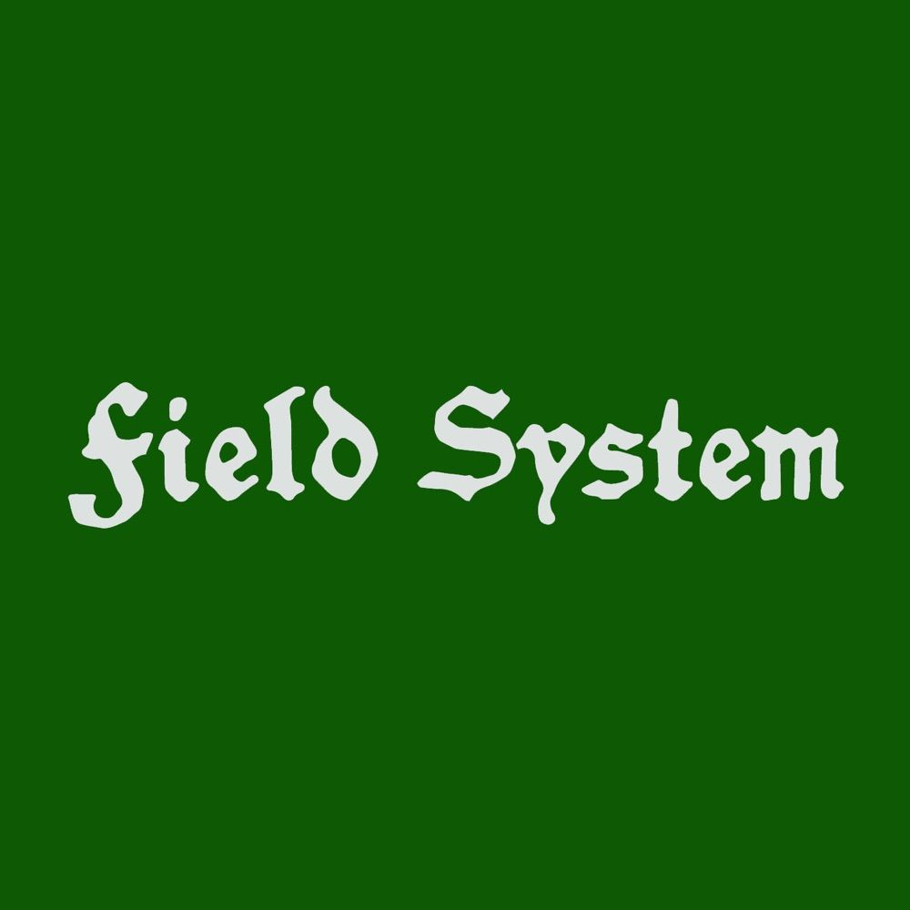 Field System