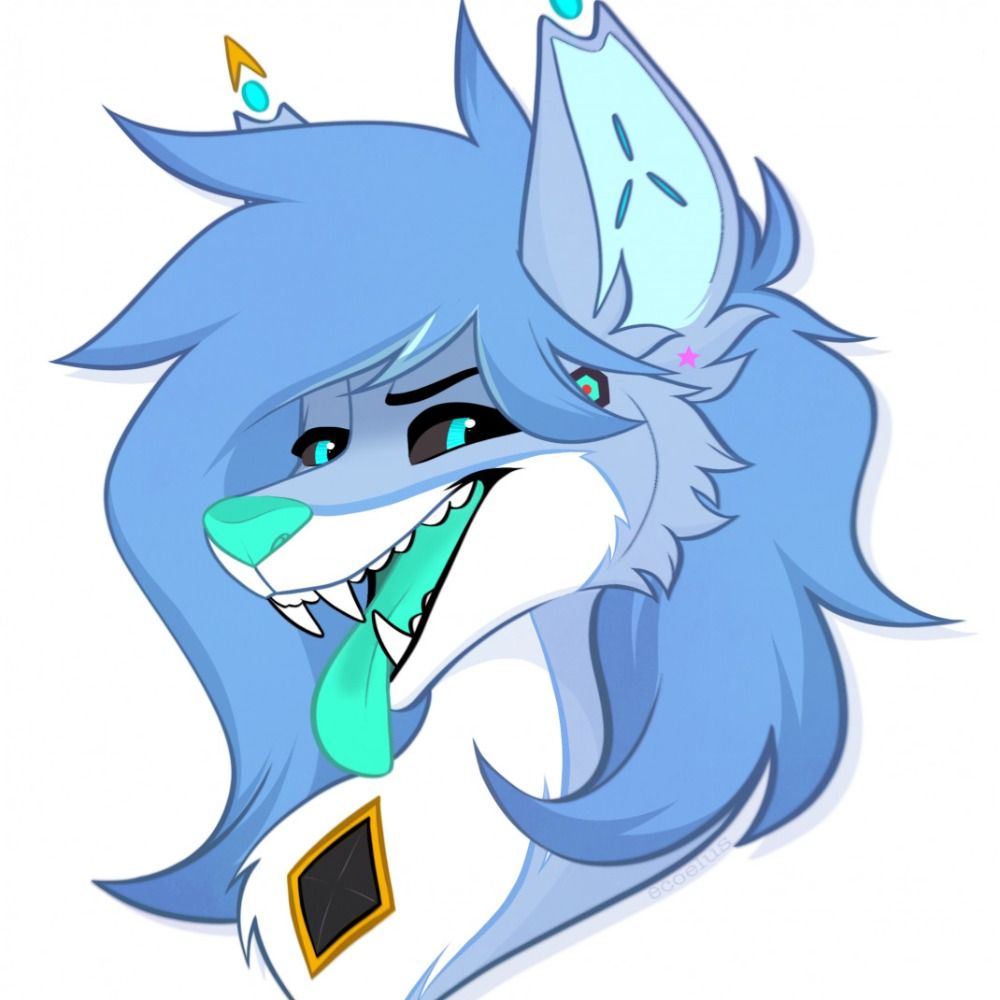 Kavier