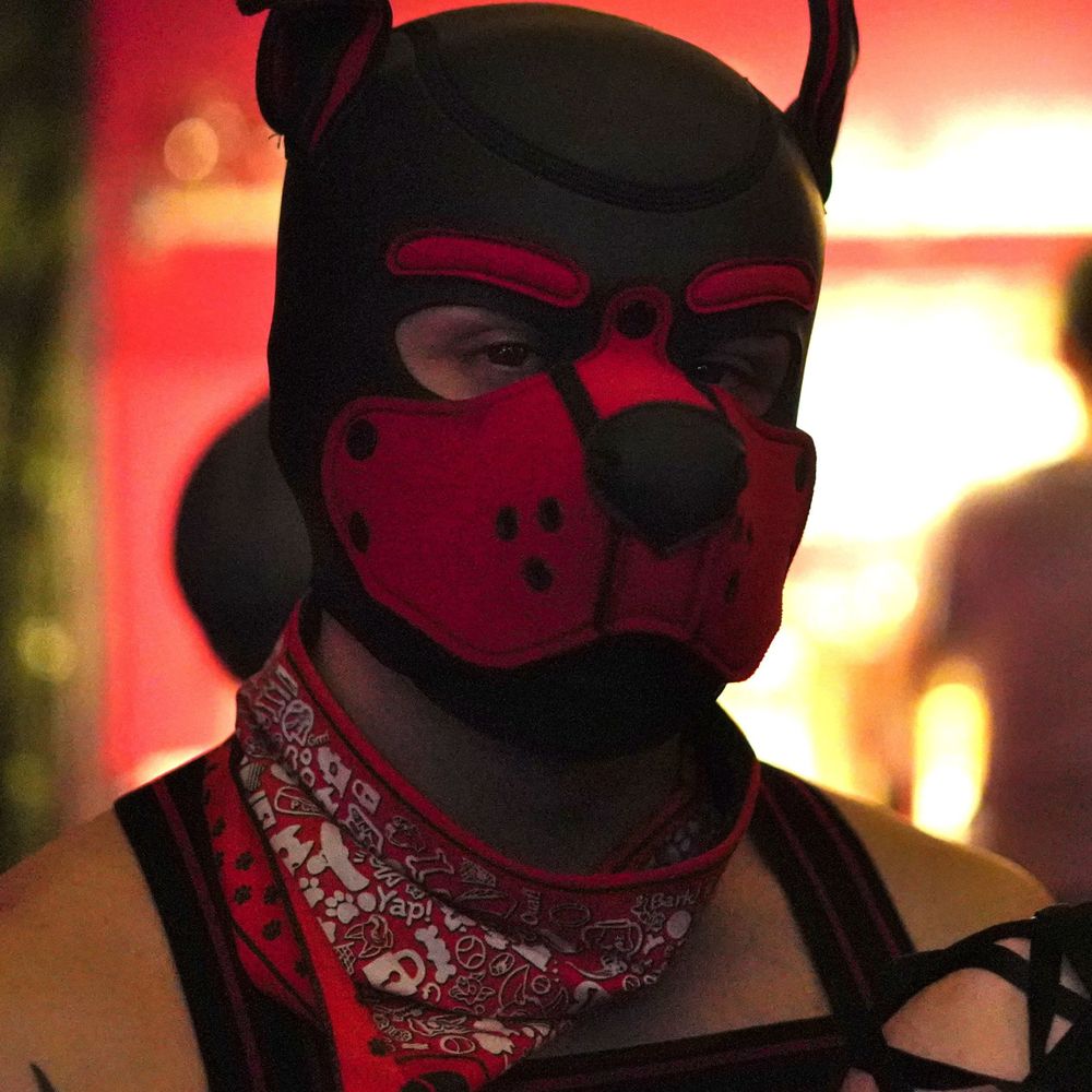 Pup Darius 🔞⛓️