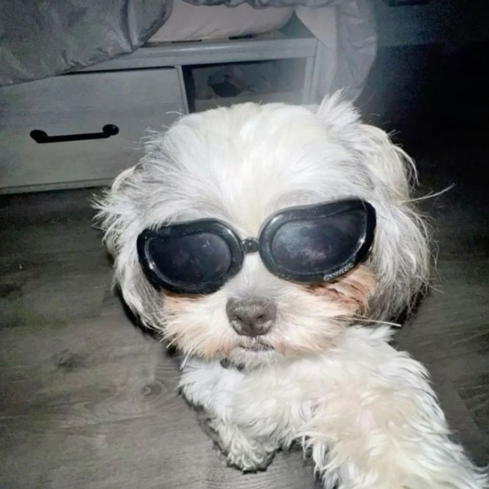 lari