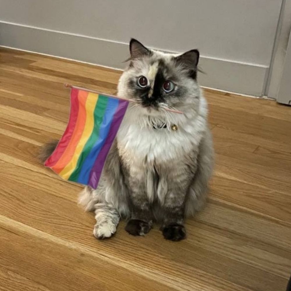 jaywhiskr (she/her)