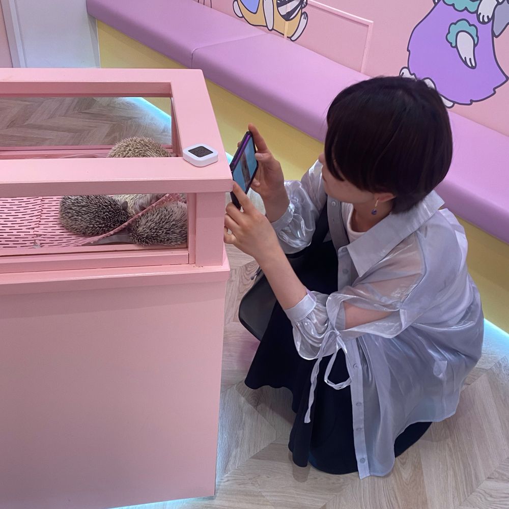 くそ雑魚千代紙
