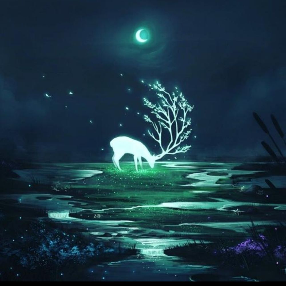 阿晝