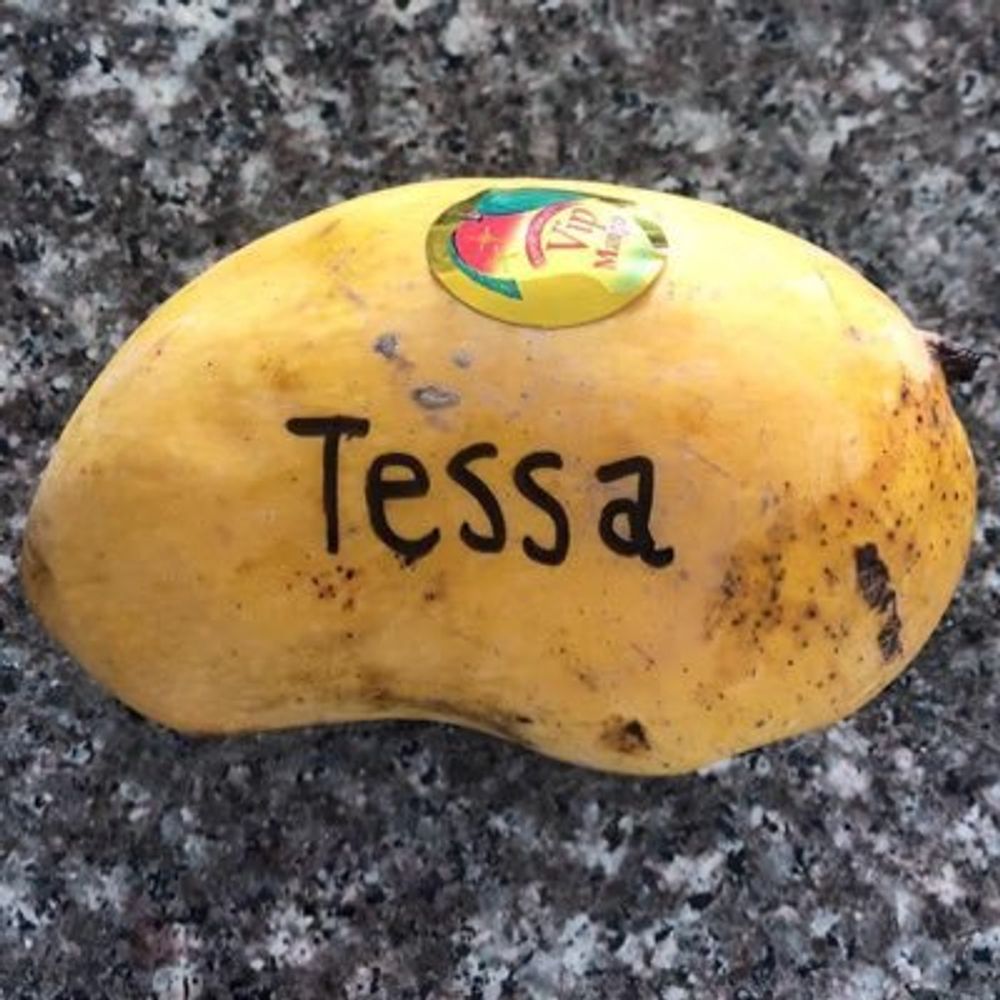 tessa thornton