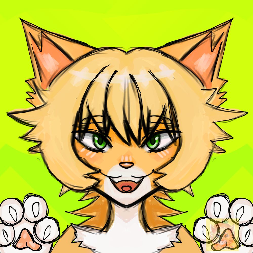 OrangeCatJR🍊