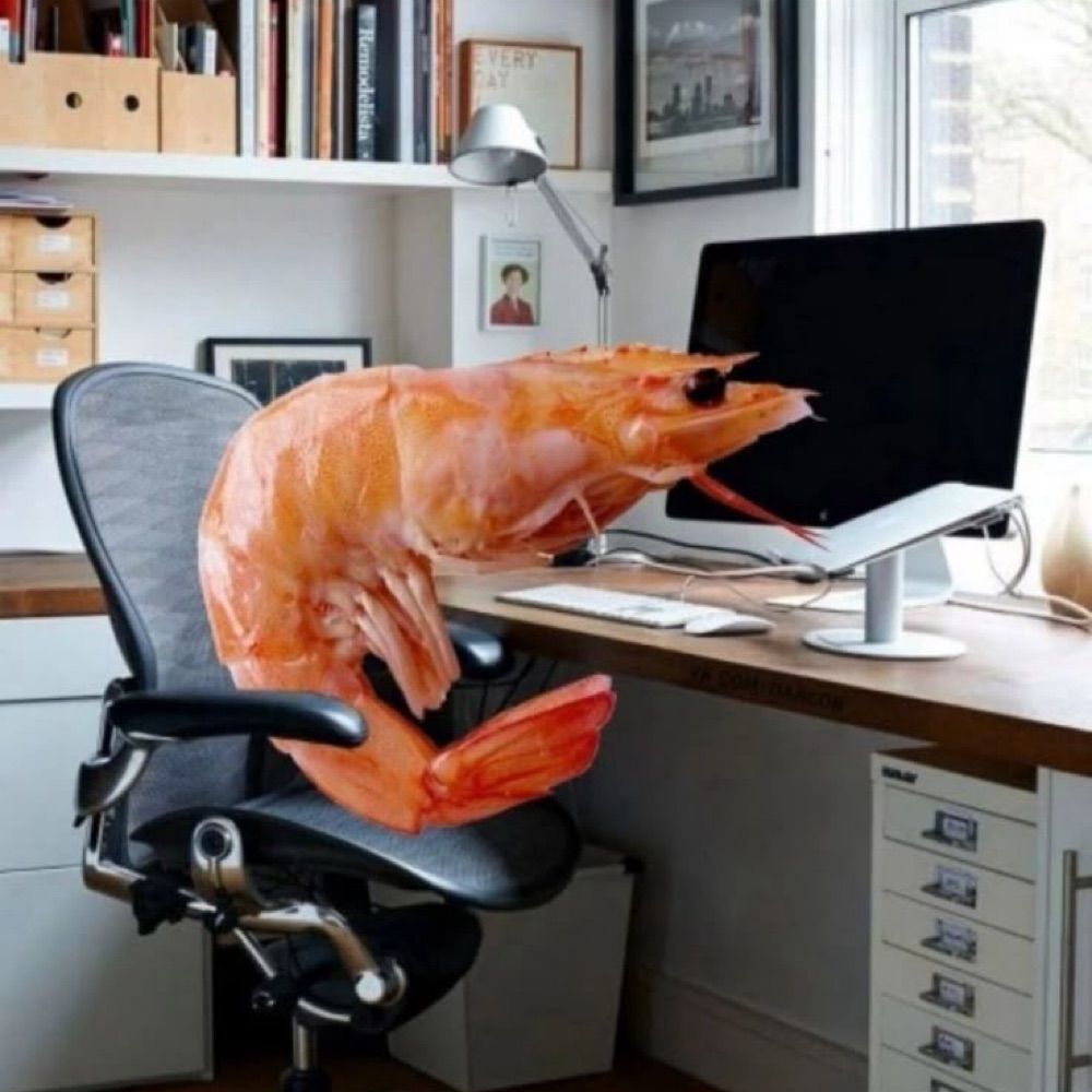 Linus!🦐