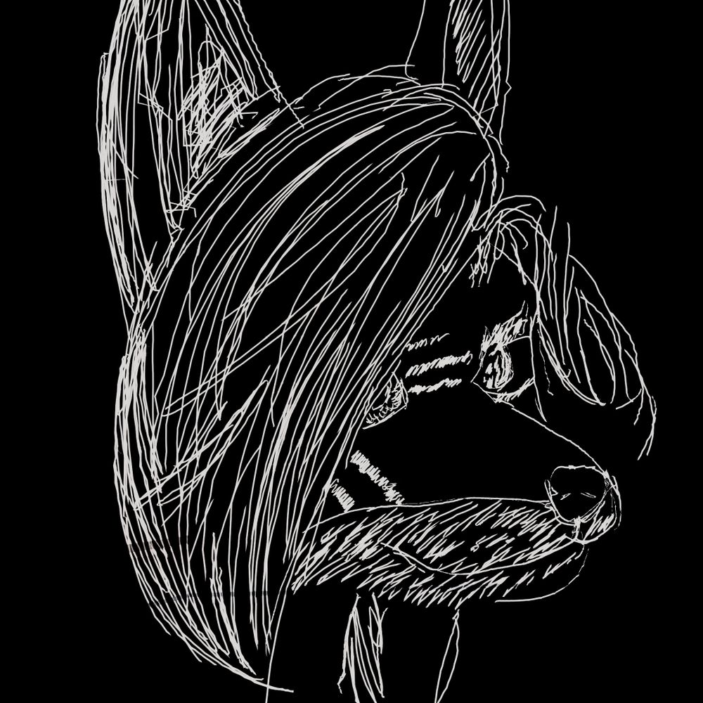 ThatRandomDog 