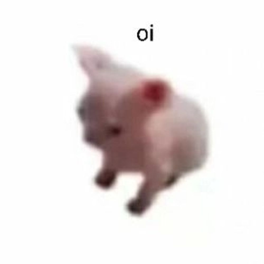 Sam