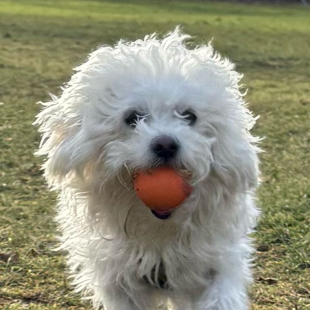 Kafka the cutest