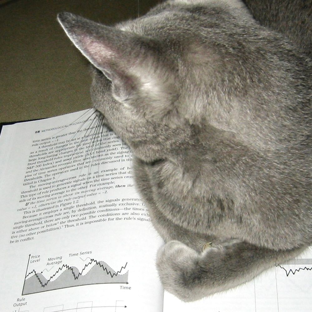 Studious Cat