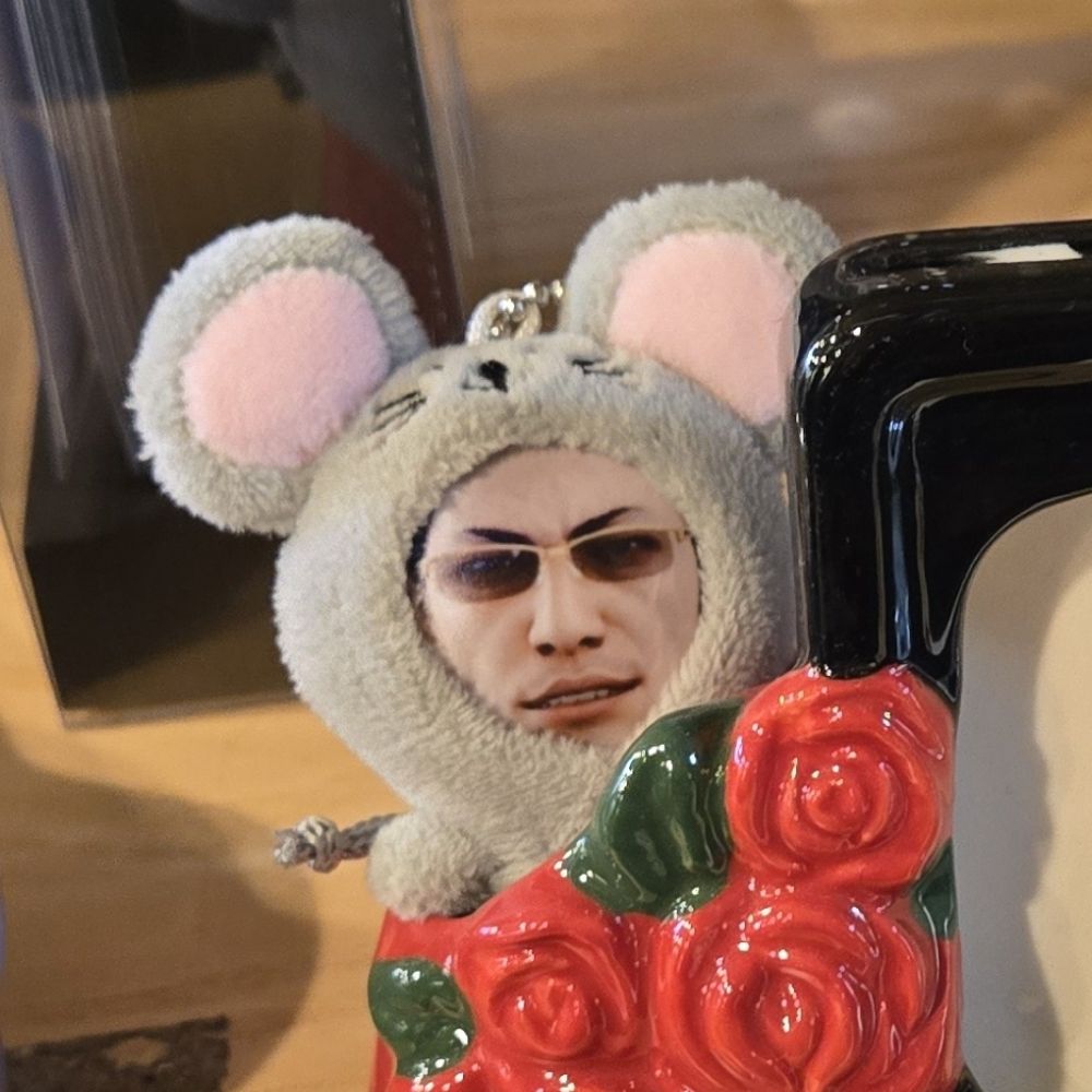 ⋆ ₊ ﾟ ᵏᵃᵗ * ₊ ⋆