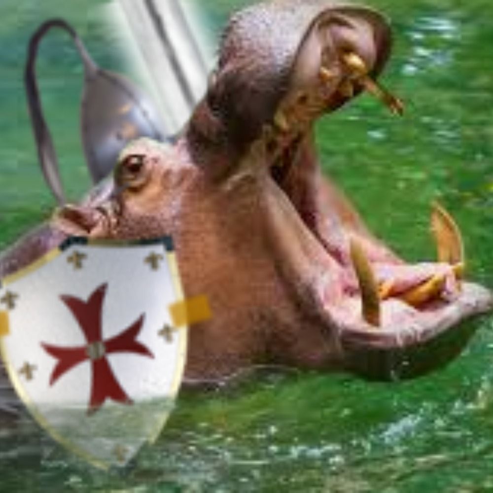 Hippodin 