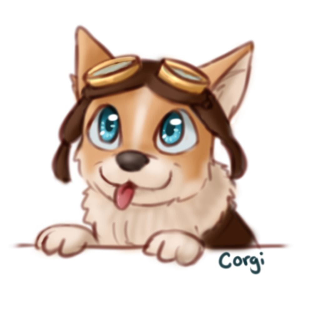 Corgi