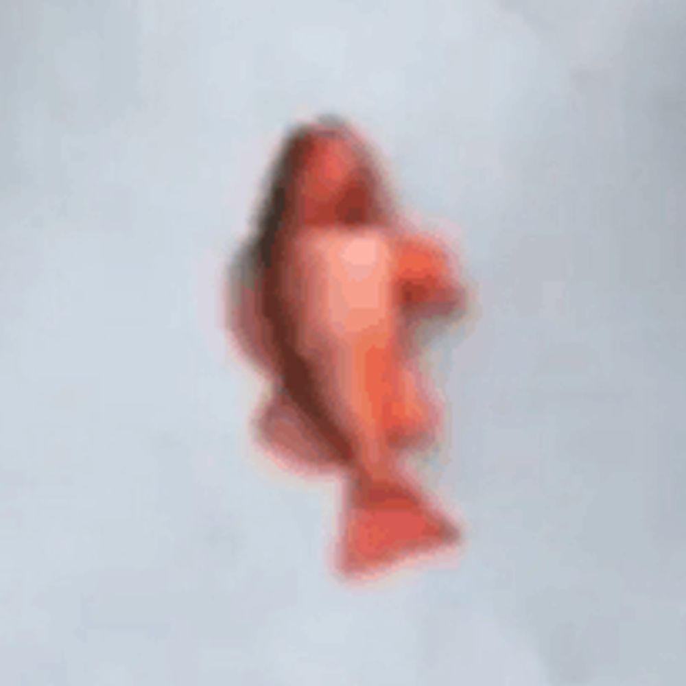 MooskyFish