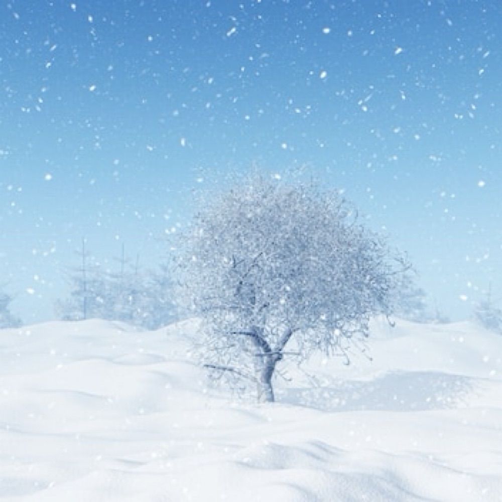 雪❄️