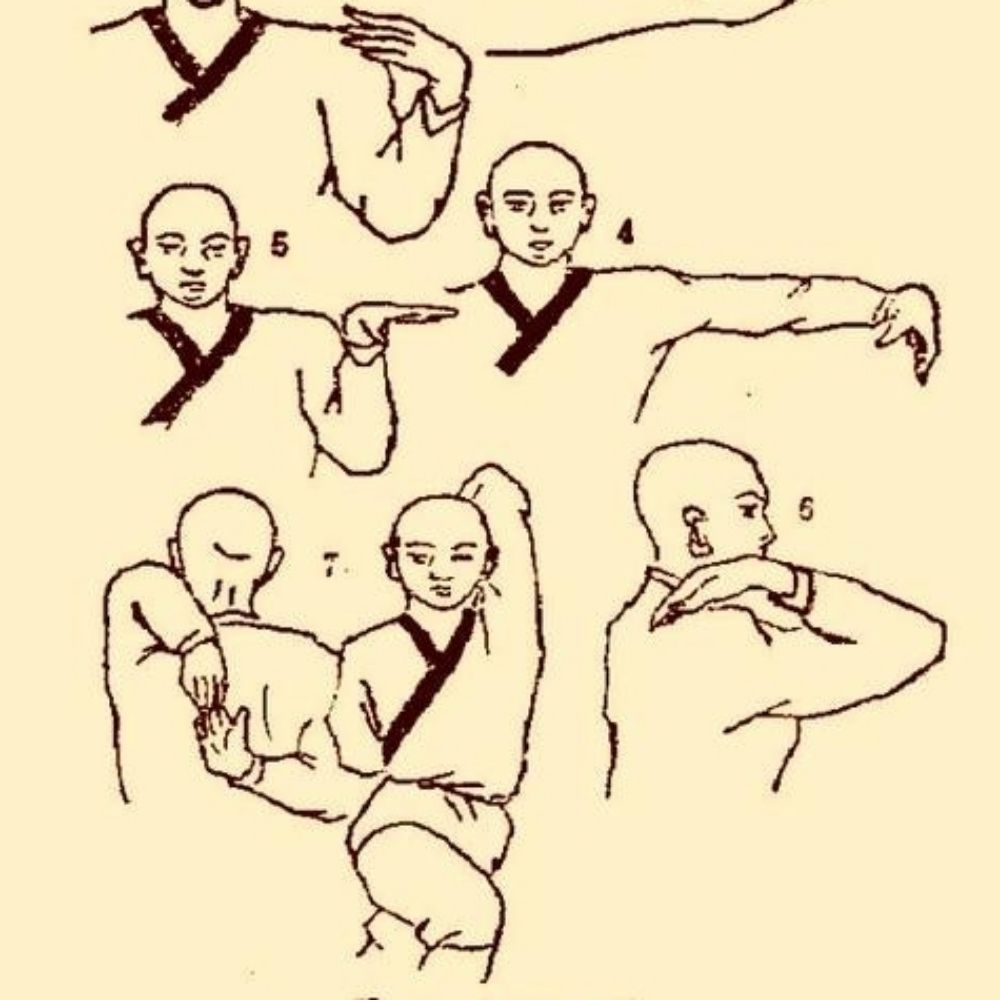 썬 루터스
