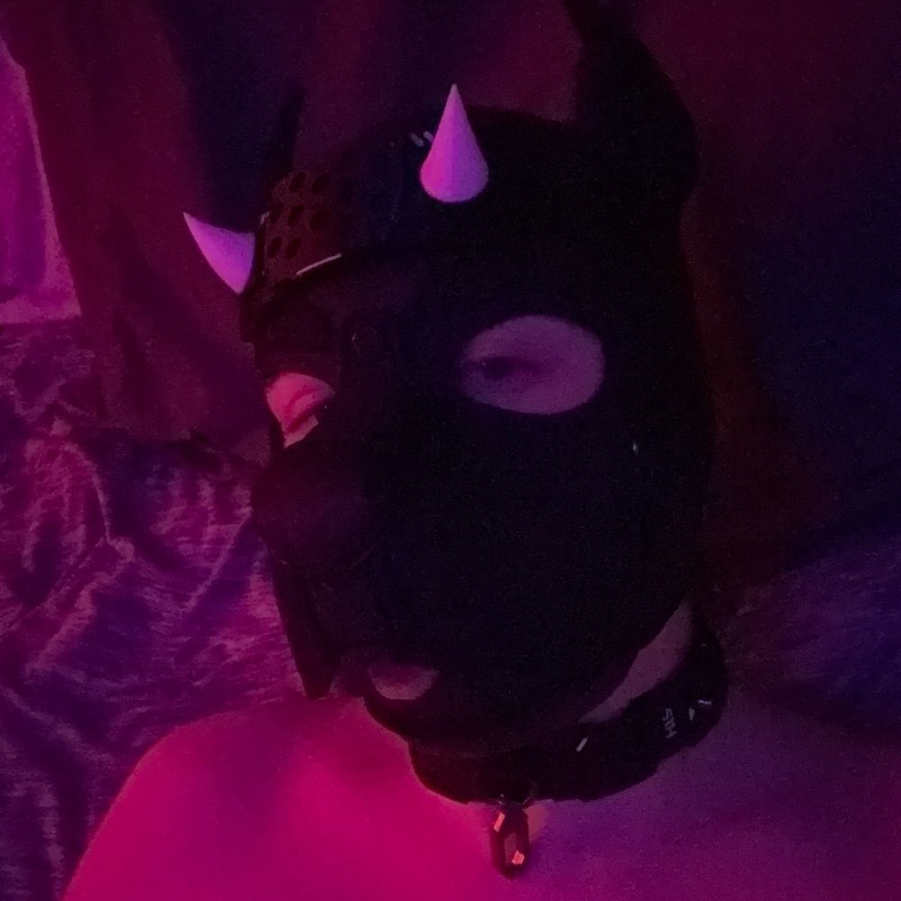 Pup Onyx 🐾🏳️‍🌈