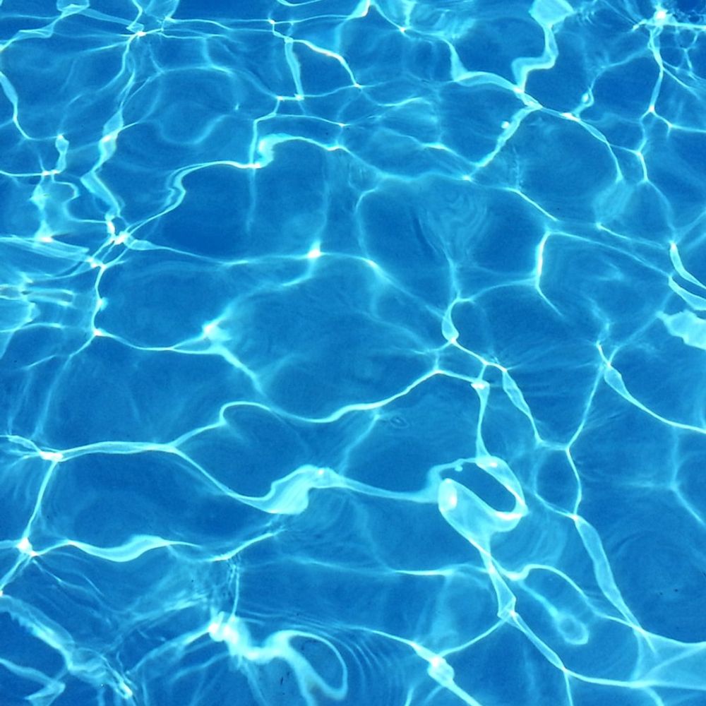 daniatienzar.bsky.social