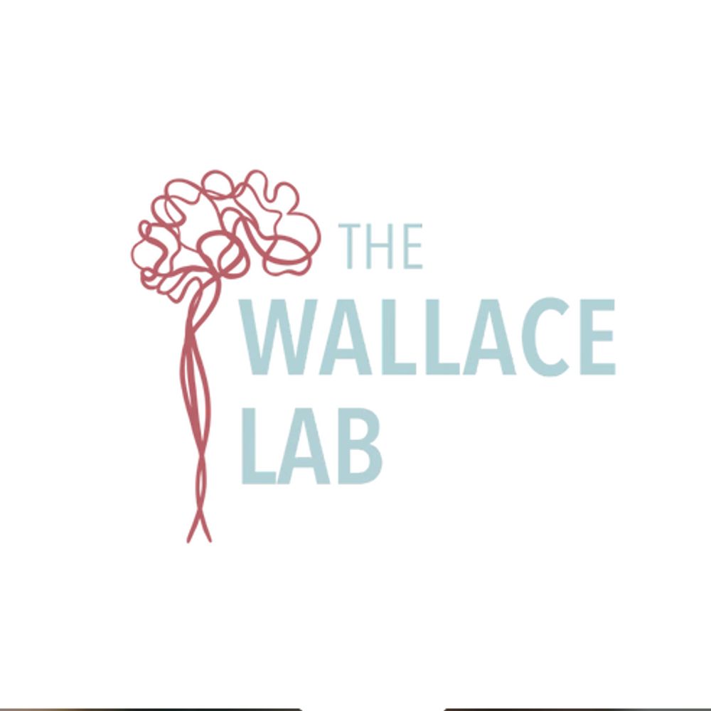 Wallace Multisensory Lab @ Vanderbilt