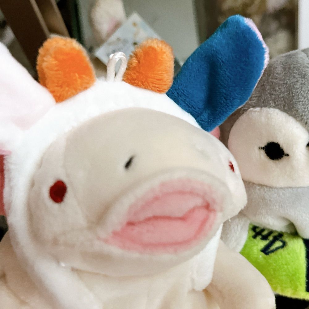 🐧ゆすら🐧