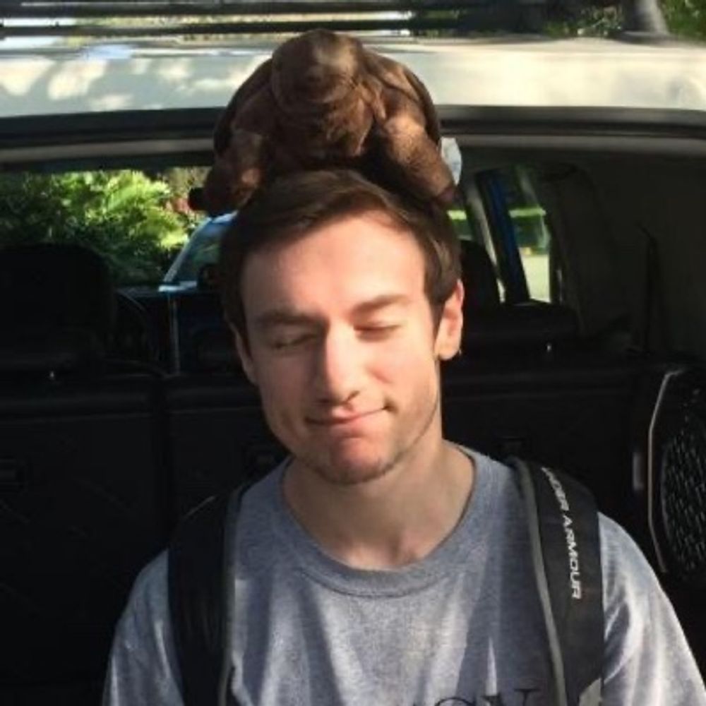 dylan
