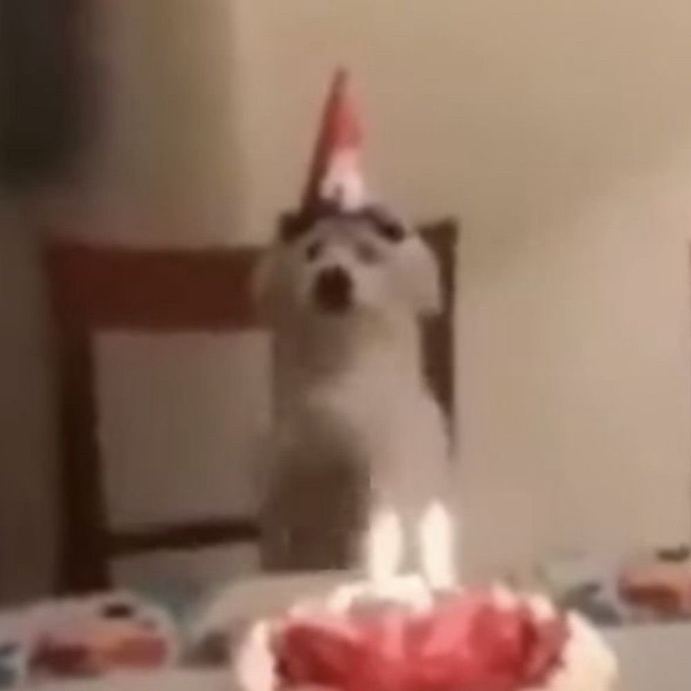 rik
