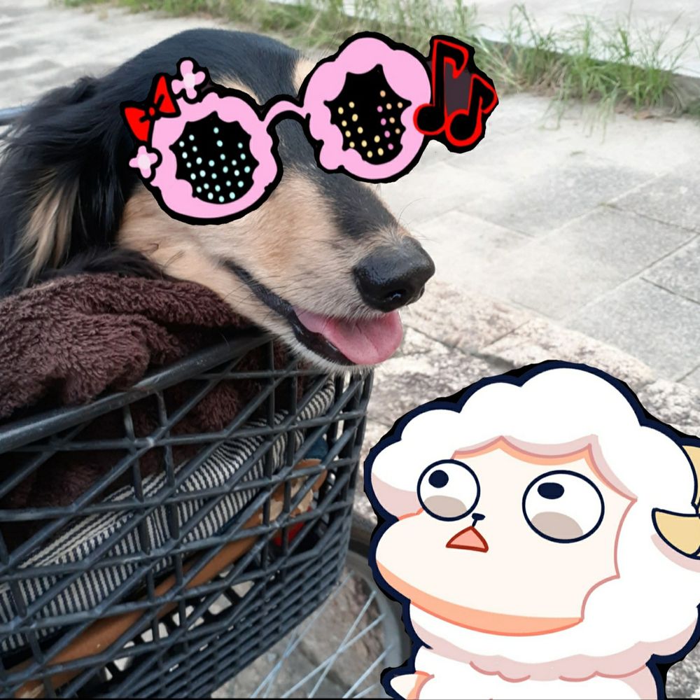 非狩る牧羊犬[WD]