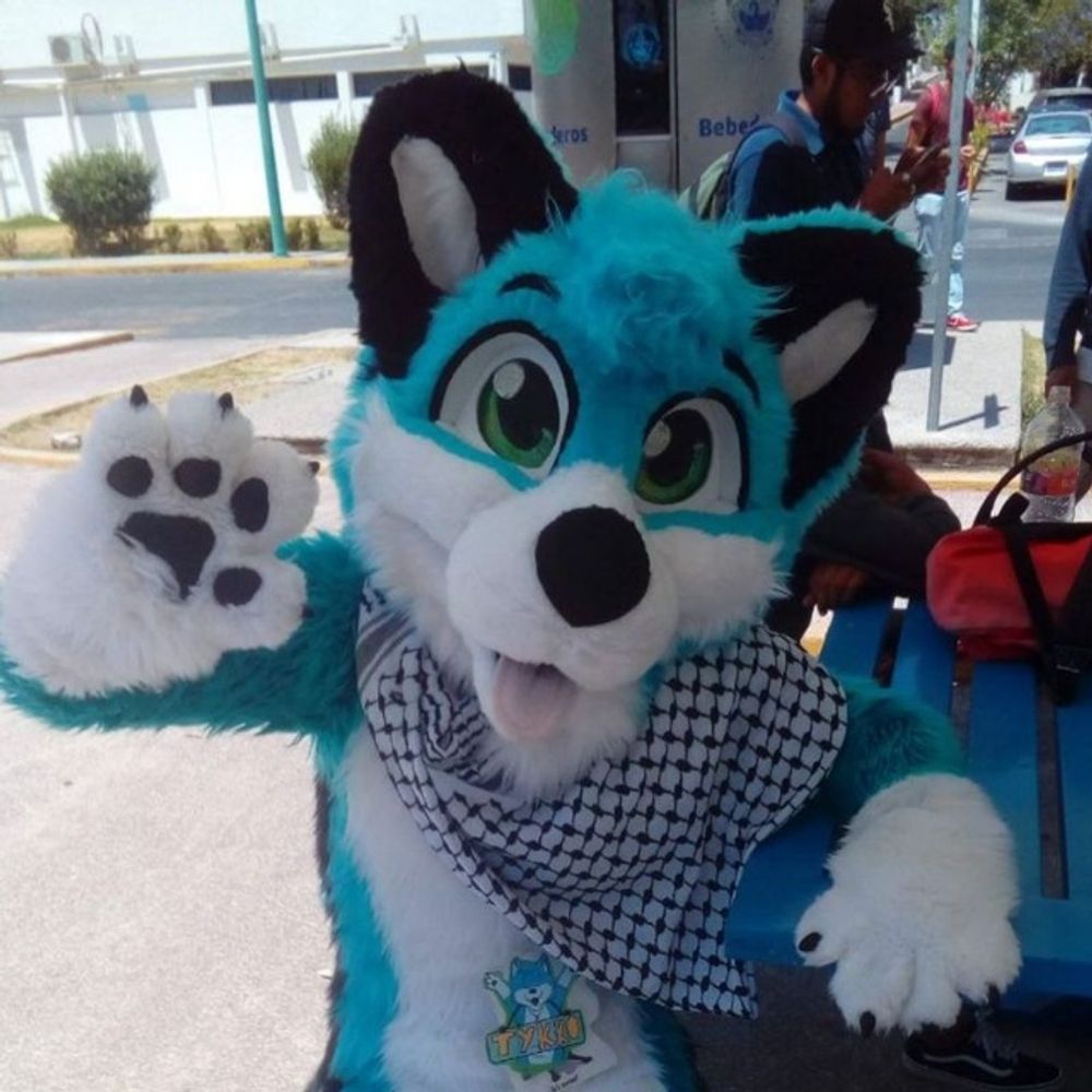 Tykkito Roo