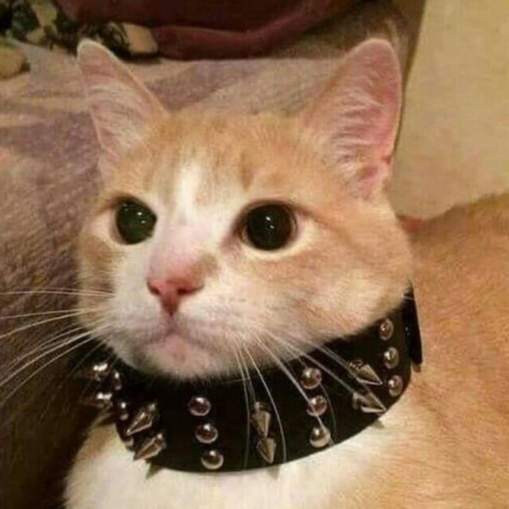 mel
