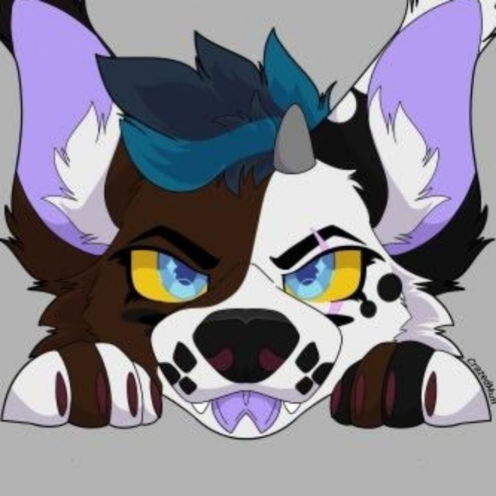 ✨Klauki Fursuits✨