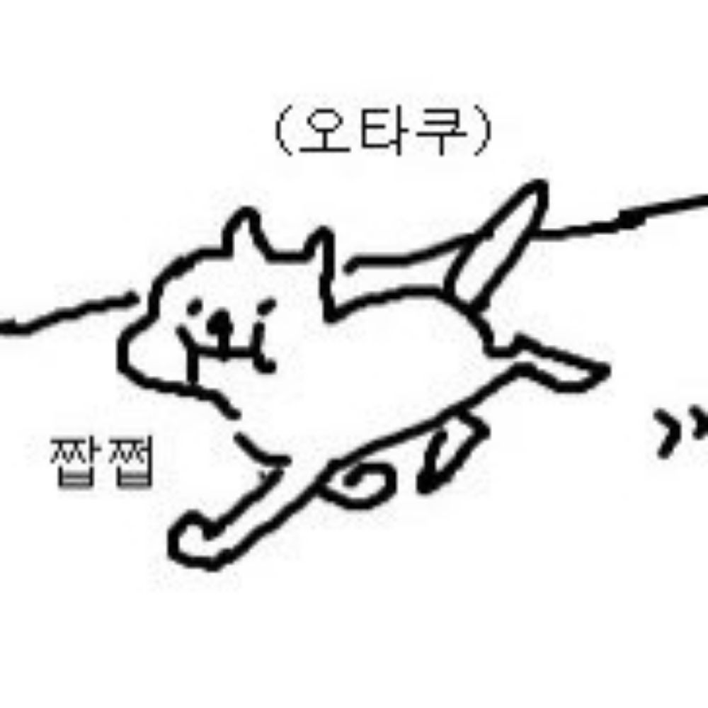 리오네대피소