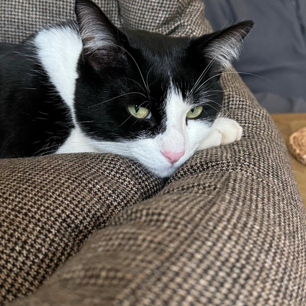 slowtrain1.bsky.social