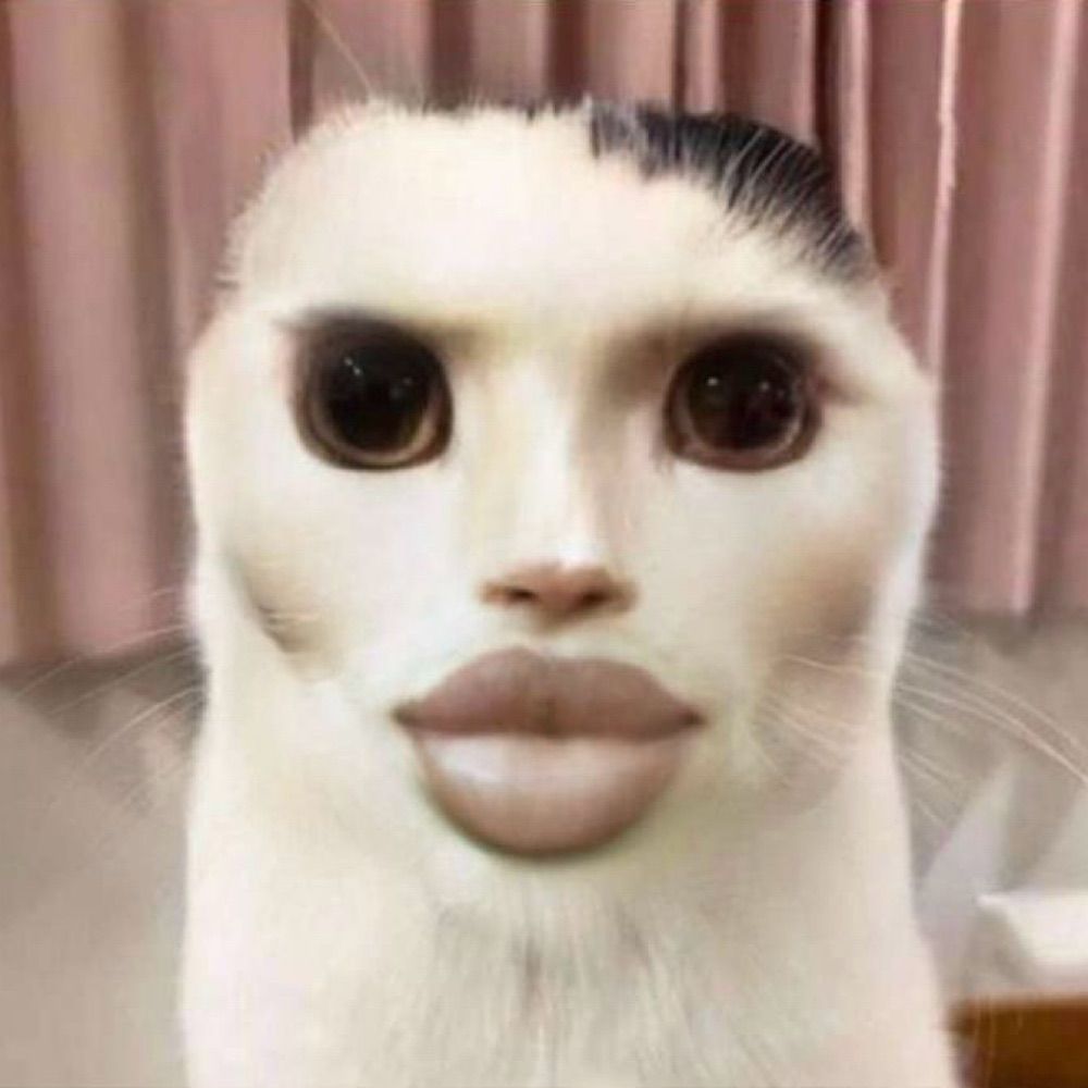 v4mp1cat💋