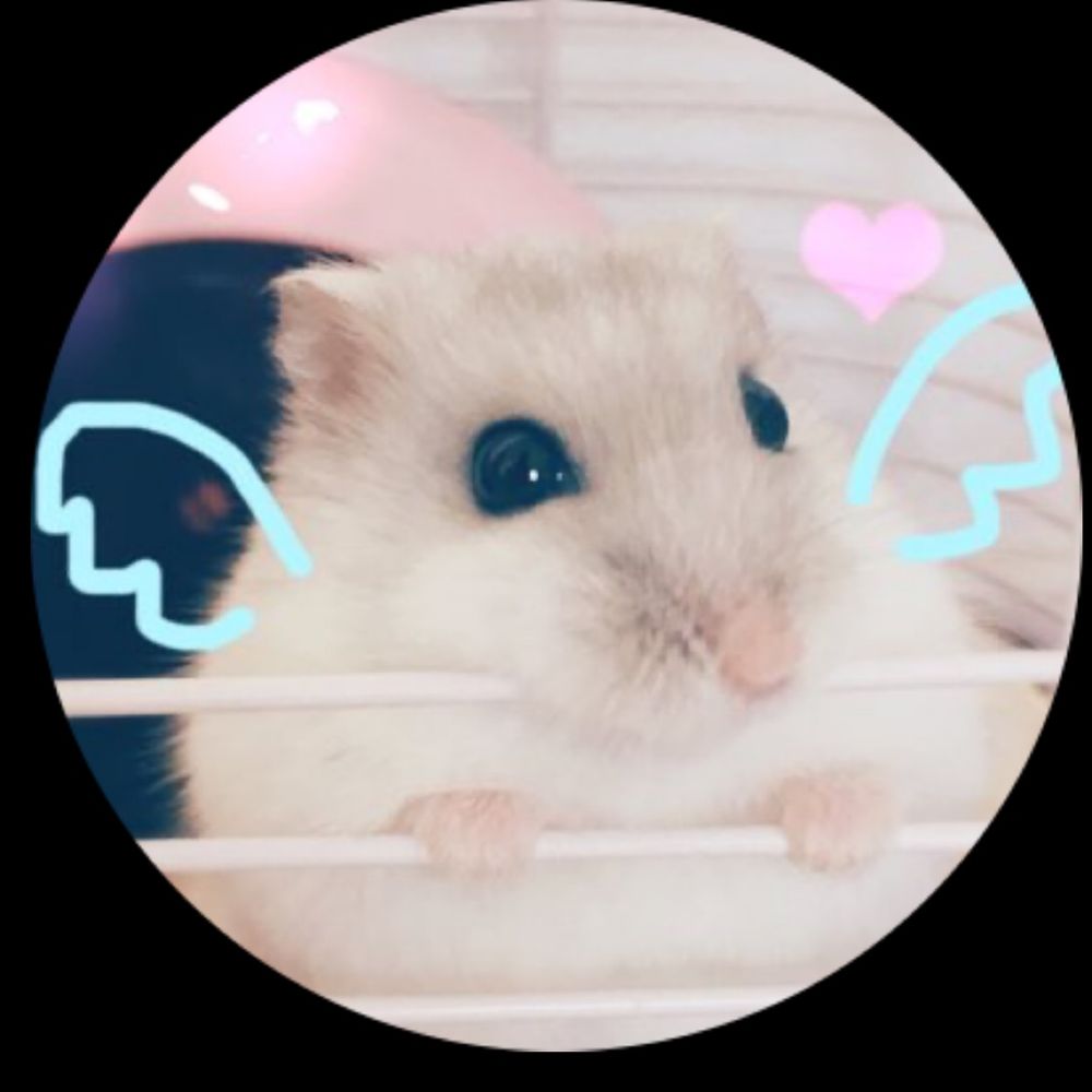 ろぼろふすきー
