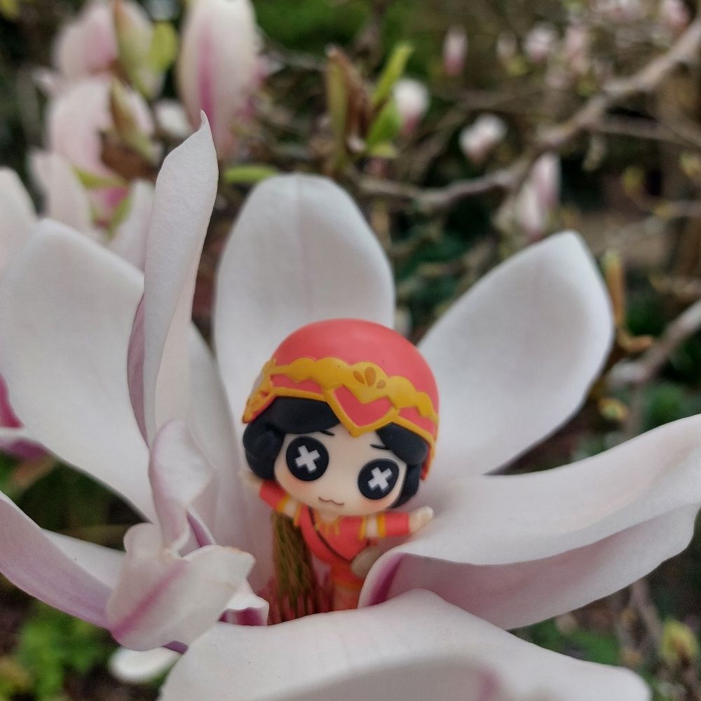 Koteki
