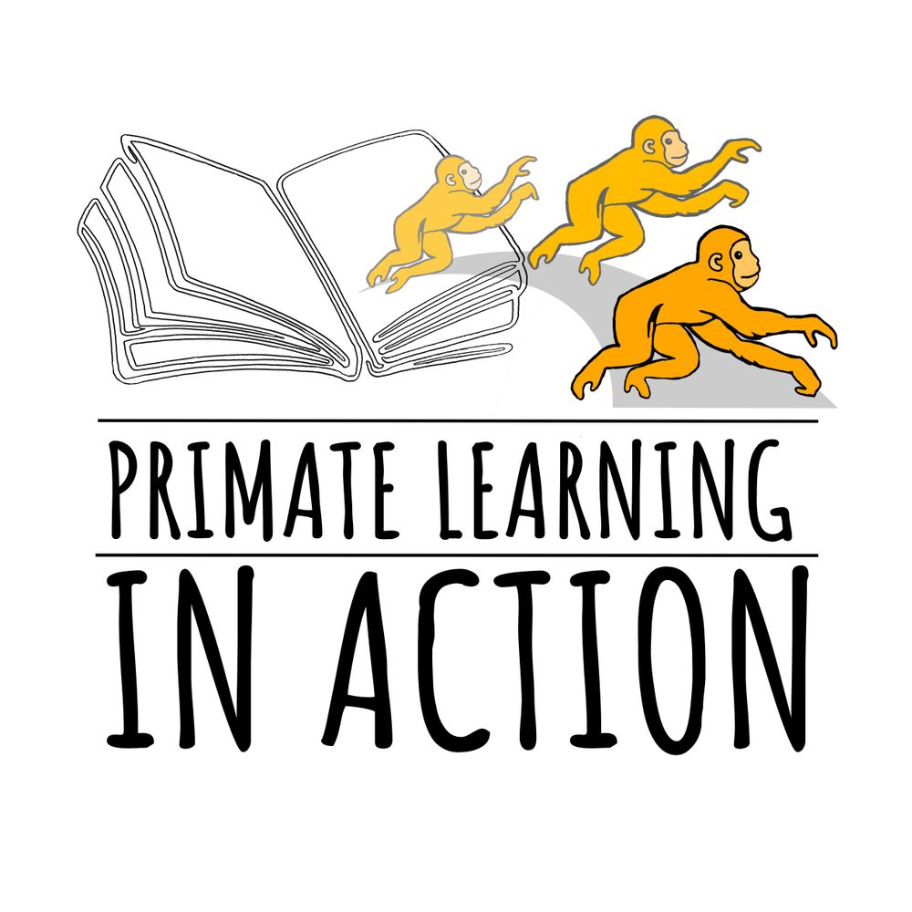 Primate Learning in Action