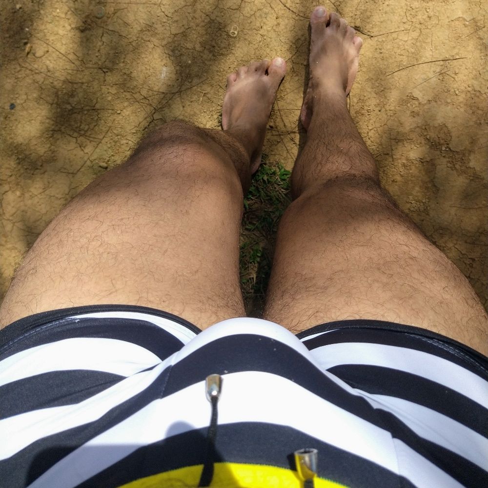 GordinsocadorSG