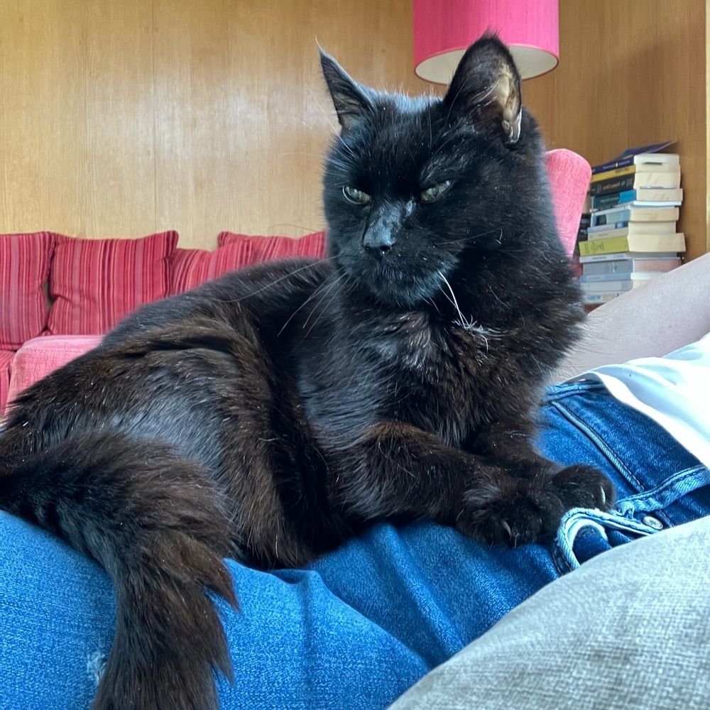 Sammy