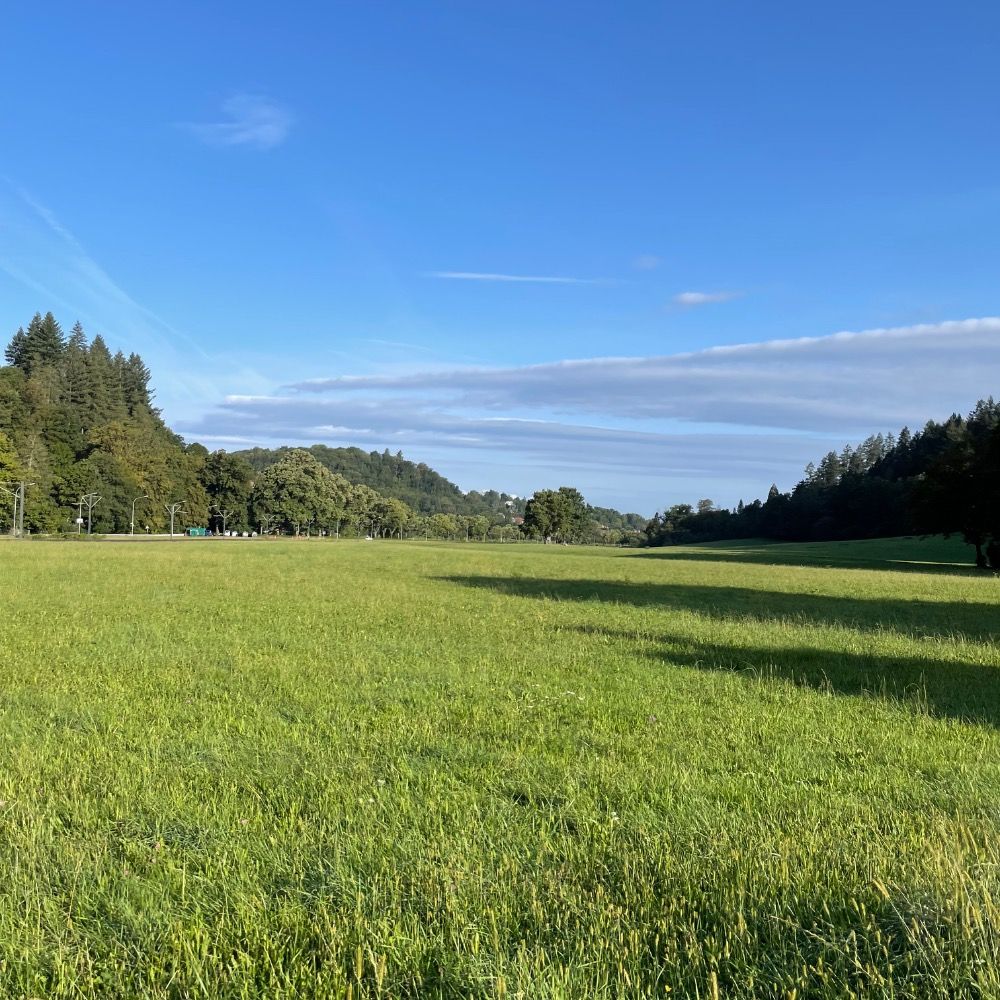 Lemmchen