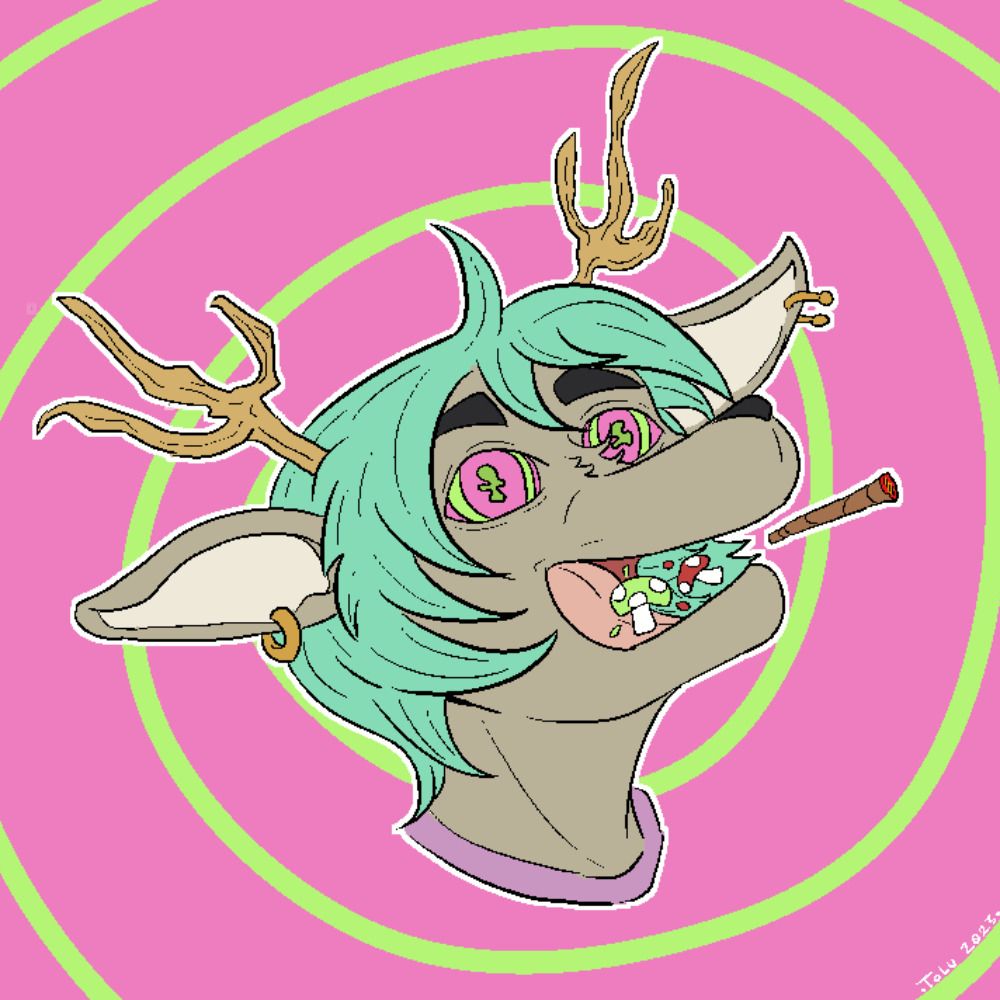 elTolu!