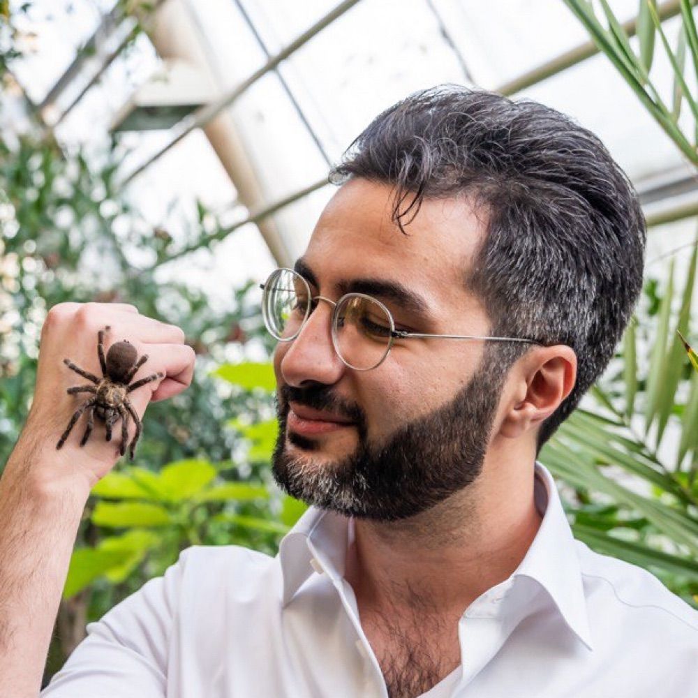 Alireza Zamani