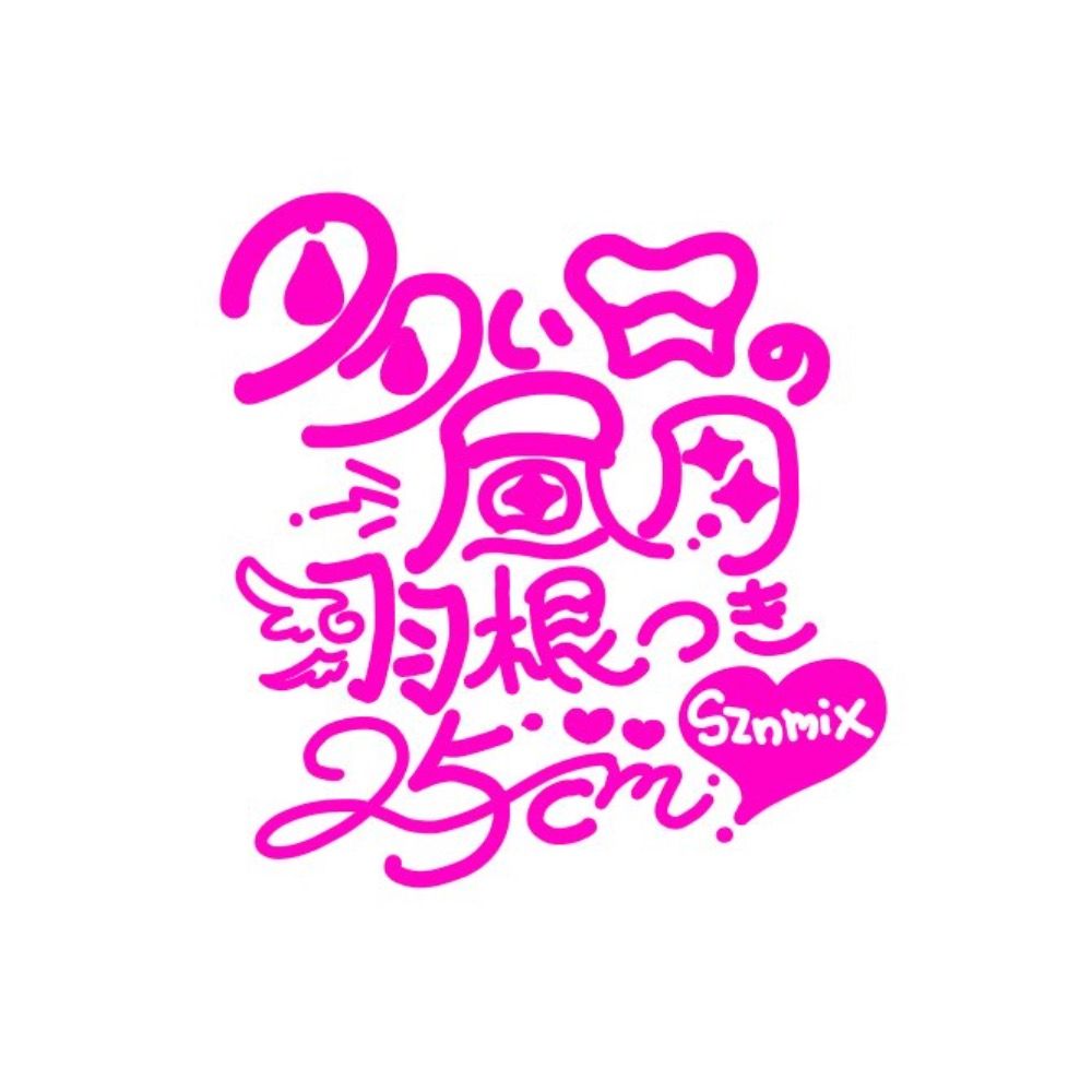 多い日の昼用羽根つき25cm